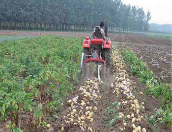 چین Two Rows Small Agricultural Machinery Small Scale Farming Equipment تامین کننده